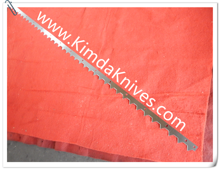 1789437126925529.png teeth cutting knives 315.png